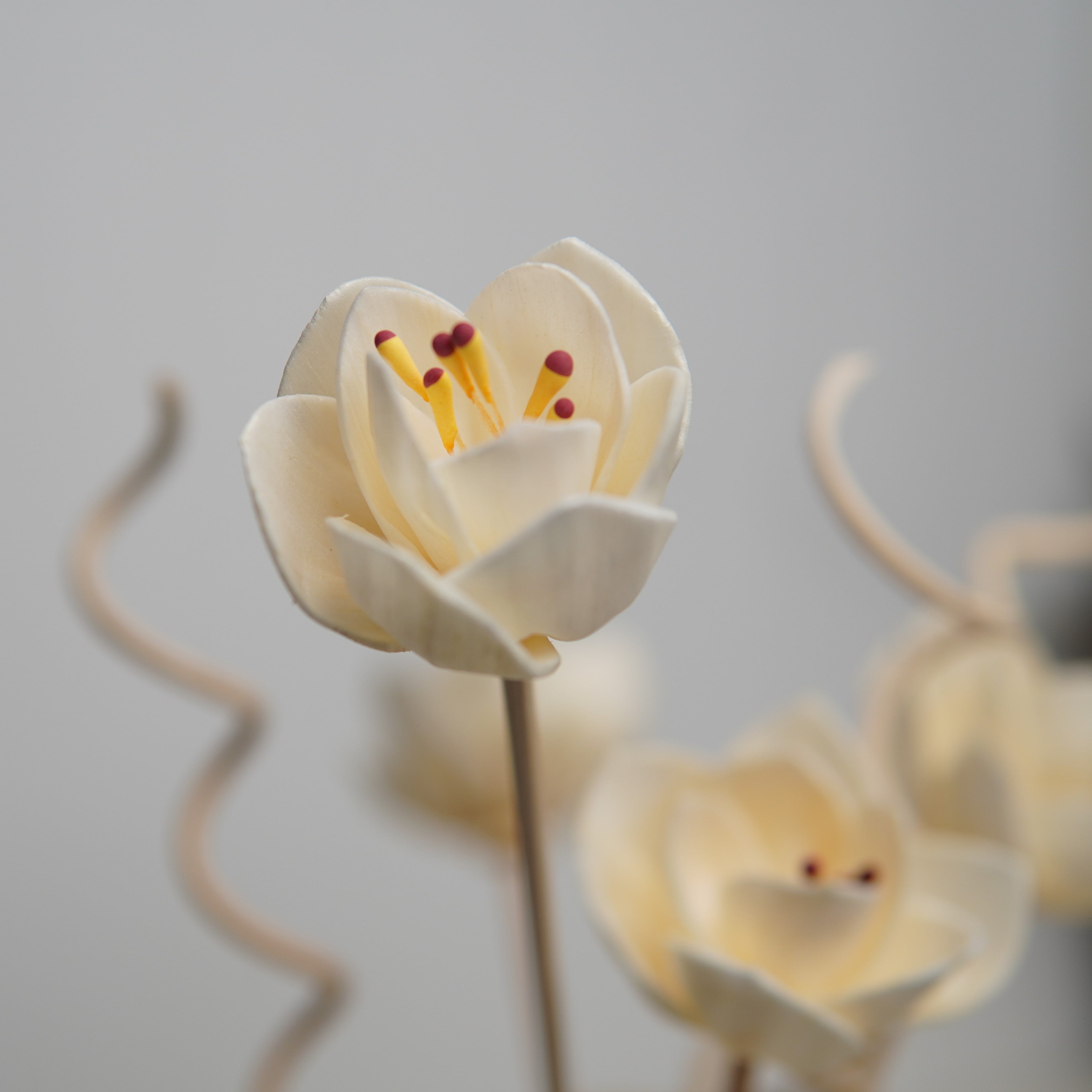 Elegance Reed Diffuser