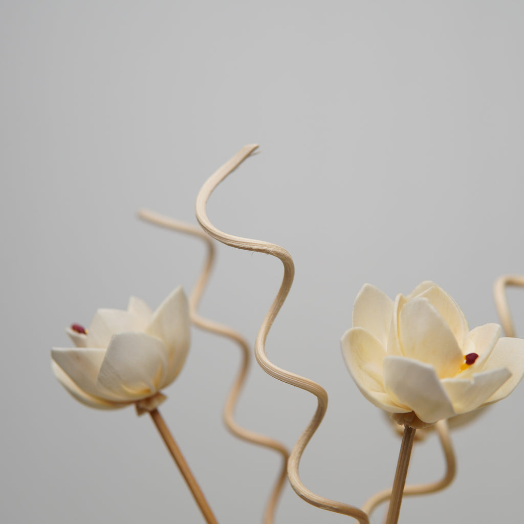 Elegance Reed Diffuser