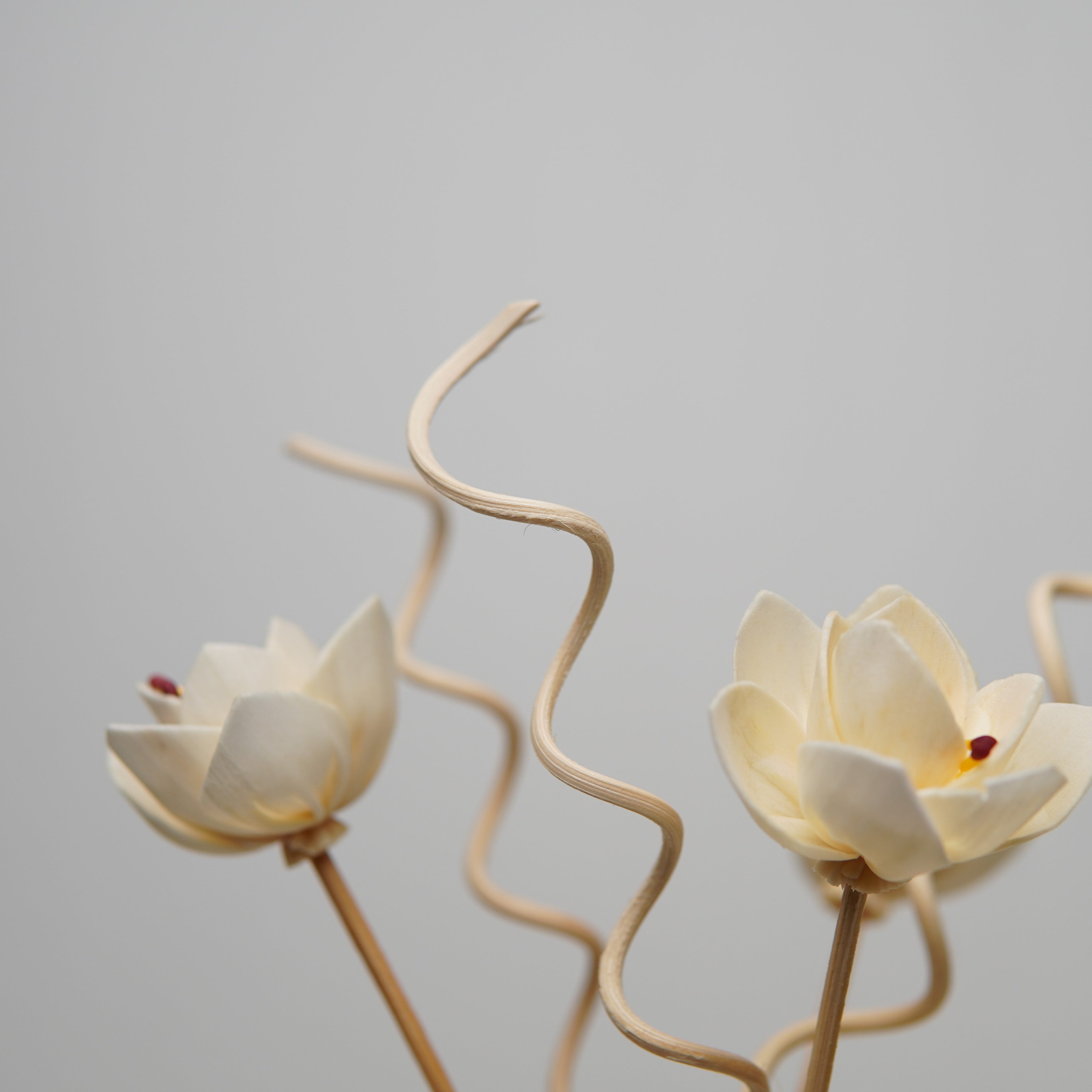 Elegance Reed Diffuser