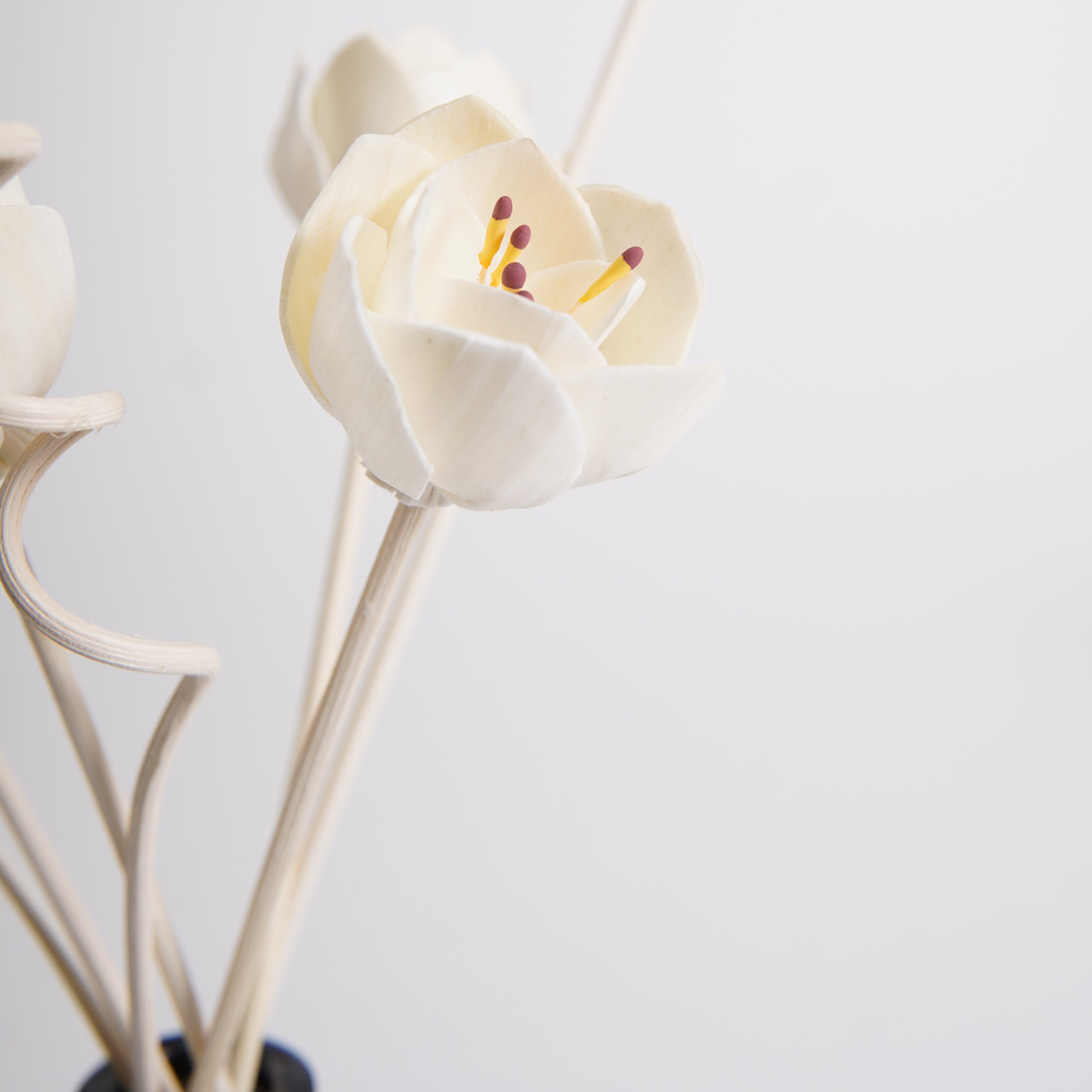 Elegance Reed Diffuser