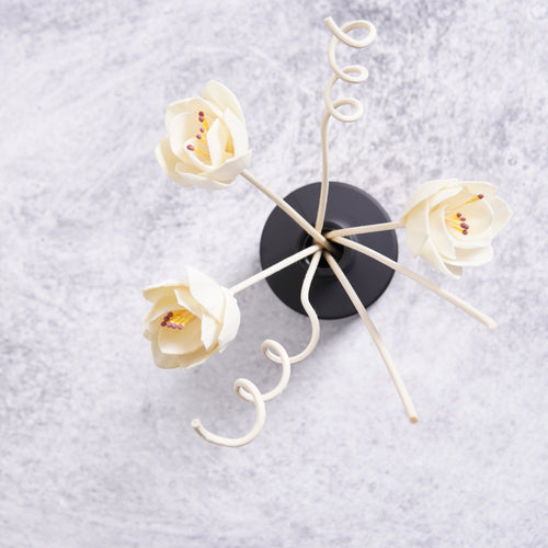 Abundance Reed Diffuser